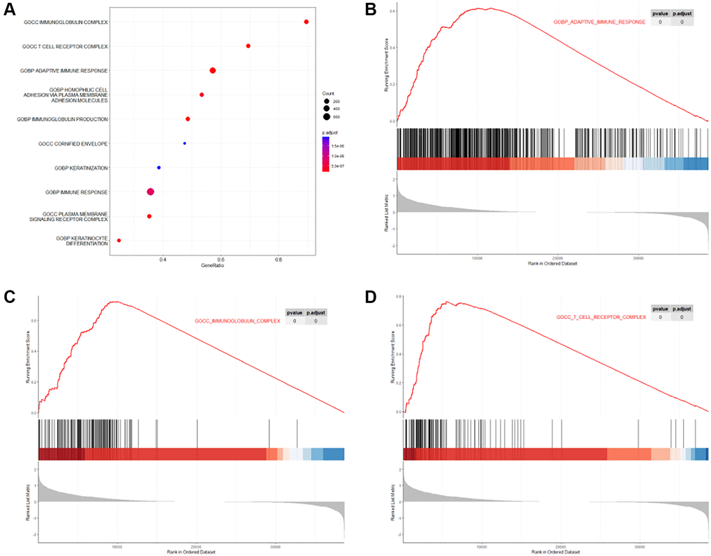 GSEA of DEGs between high-risk and low-risk levels in MIBC patients who received GC regimens. (A) Top 10 GSEA terms of the DEGs; (B) GSEA plot of the term “GOBP