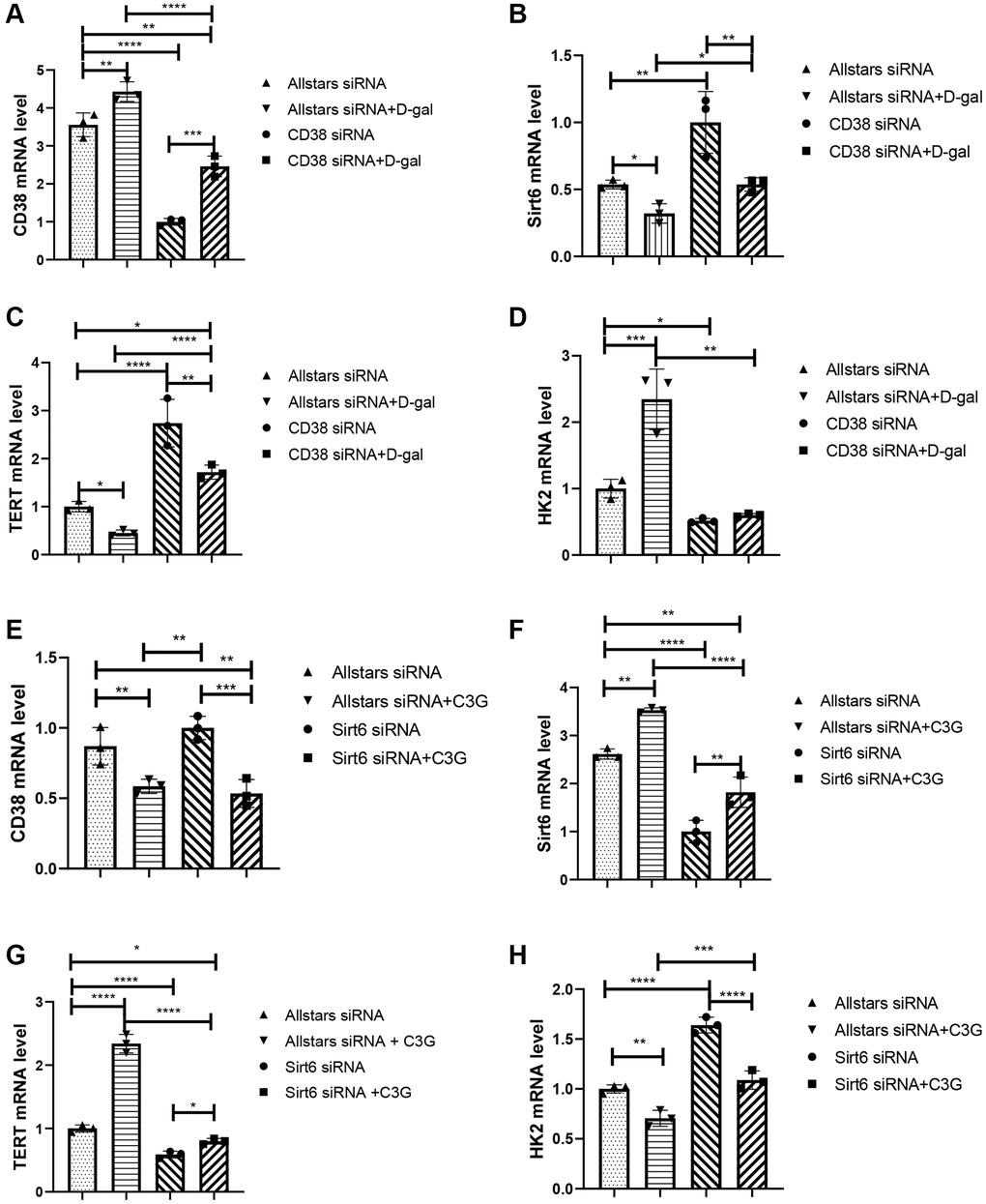 Treatment with CD38 siRNA and C3G decreased HK2 mRNA expression and increased Sirt6 and TERT expression in H9c2 cells, and Sirt6 siRNA and D-gal treatment increased HK2 expression and deceased TERT expression. Real-time PCR was used to detect the CD38 mRNA level (A), Sirt6 mRNA level (B), TERT mRNA level (C), and HK2 mRNA level (D) in cells after CD38 siRNA transfection. Real-time PCR was also performed to detect the CD38 mRNA level (E), Sirt6 mRNA level (F), TERT mRNA level (G), and HK2 mRNA level (H) in cells after Sirt6 siRNA transfection. *P **P ***P ****P 