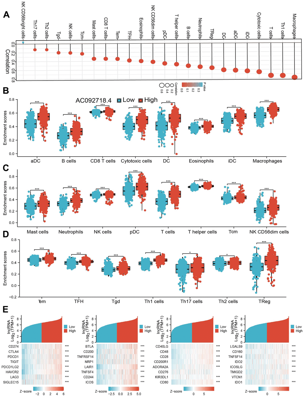 Correlation between AC092718.4 expression and immune infiltrates. (A) Correlations between AC092718.4 expression and the level of immune infiltration in LUAD using the ssGSEA method. (B–D) Correlation analysis of AC092718.4 expression and infiltration levels of immune cells in LUAD tissues. (E) Correlations between AC092718.4 expression and various immune checkpoint genes. *p 