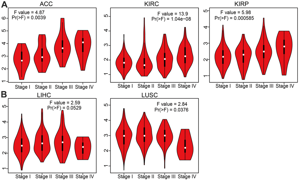 Correlation between AC092718.4 expression and cancer stage across different cancer types. (A, B) The correlations between AC092718.4 expression levels and tumor stage in different cancer types were examined using the GEPIA database.