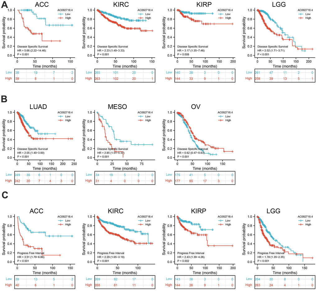AC092718.4 expression correlated with the disease-specific survival, and progression-free survival of pan-cancer. (A, B) The disease-specific survival of AC092718.4 in pan-cancer. (C) The progression-free survival for AC092718.4 in pan-cancer.