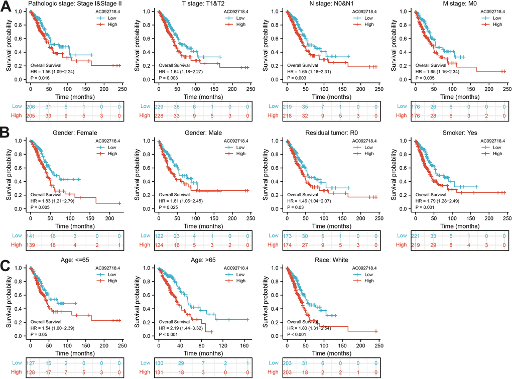 Correlation between various clinical features and overall survival in LUAD. (A–C) The prognosis of AC092718.4 is based on different subgroups, including stage, TNM stage, gender, residual tumor, smoker, age, and race.
