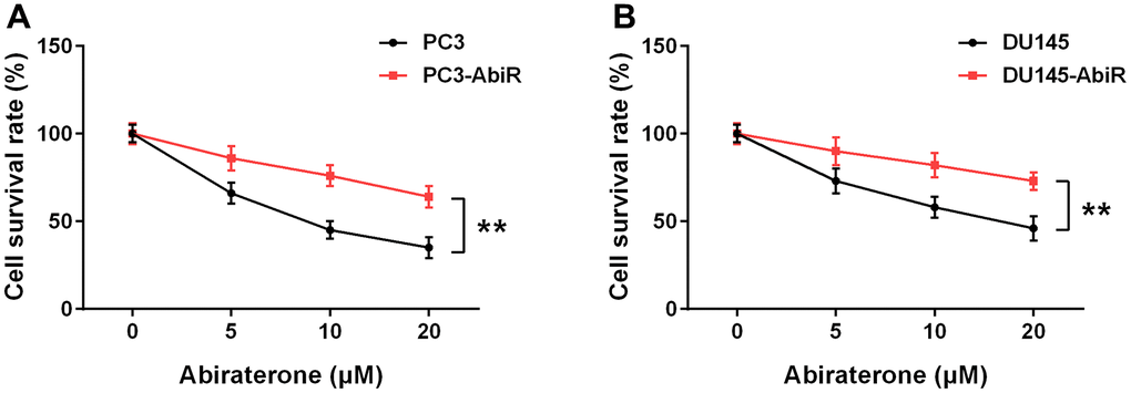 Resistance to abiraterone in PC3-AbiR (A) and DU145-AbiR (B) cells. Cells were treated with different concentrations of abiraterone for 48 hours, cell survival rate was calculated. Data were presented as mean ± SD. n=3. **p