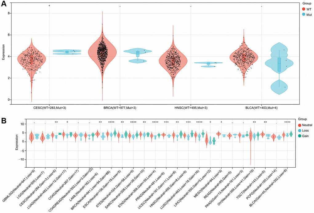 An illustration of the relationship between RNF135 expression and gene mutation. (A) A Spearman association between RNF135 SNV and mRNA was performed in pan-cancer. (B) A Spearman association between RNF135 CNV and mRNA was performed in pan-cancer. *P **P ***P 