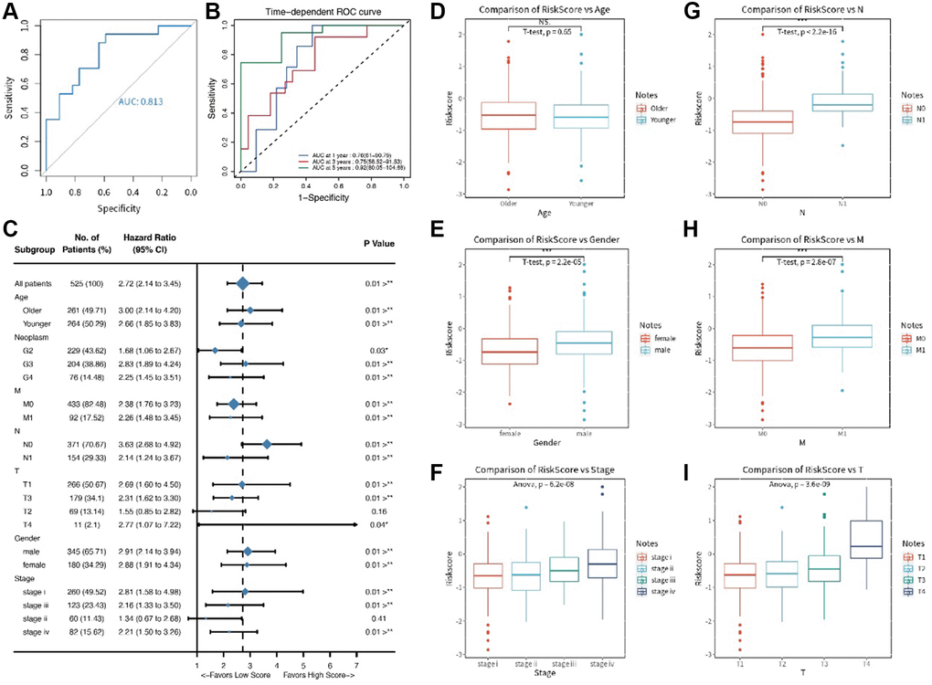 (A, B) The ROC time dependent analysis; (C) The forest plot for clinical features in the training set; (D–I) The comparative results for age, gender, T stage, N stage, M stage, and pathology stage.