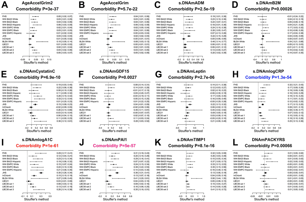 Meta analysis of associations with total number of age-related conditions. Each panel reports a meta analysis forest plot based on Stouffer’s method for combining regression analysis Z statistics between the comorbidity index and the DNAm-based biomarker (reported in the figure heading) across different strata, which are formed by racial group within cohort and set within LBC36. (A, B) display the results for AgeAccelGrim2 and AgeAccelGrim. (C–L) display the results for scaled DNAm based surrogate markers of (C) adrenomedullin (ADM), (D) beta-2 microglobulin (B2M), (E) cystatin C (Cystatin C), (F) growth differentiation factor 15 (GDF-15), (G) leptin, (H) log scale of C reactive protein (CRP), (I) log scale of hemoglobin A1C, (J) plasminogen activation inhibitor 1 (PAI-1), (K) tissue inhibitor metalloproteinase 1 (TIMP-1) and (L) smoking pack-years (PACKYRS). The sub-title of each panel reports the meta analysis p-value. Each row reports a beta coefficient β and a 95% confidence interval resulting from a (linear-mixed) regression model in each strata (defined by cohort racial group). (A, B) Each β corresponds to a one-year increase in AgeAccel. (C–K) Each β corresponds to an increase in one-standard deviation. (L) β corresponds to a one-year increase in pack-years. The most significant meta-analysis P-value is marked in red (DNAm logA1C), followed by hot pink (DNAm PAI1) and blue (DNAm logCRP), respectively.