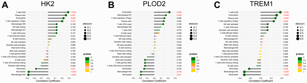 Correlation analysis between the infiltrated immune cells and the expression of the PE-related diagnostic biomarkers, including HK2 (A), PLOD2 (B), and TREM1 (C). PE, preeclampsia.