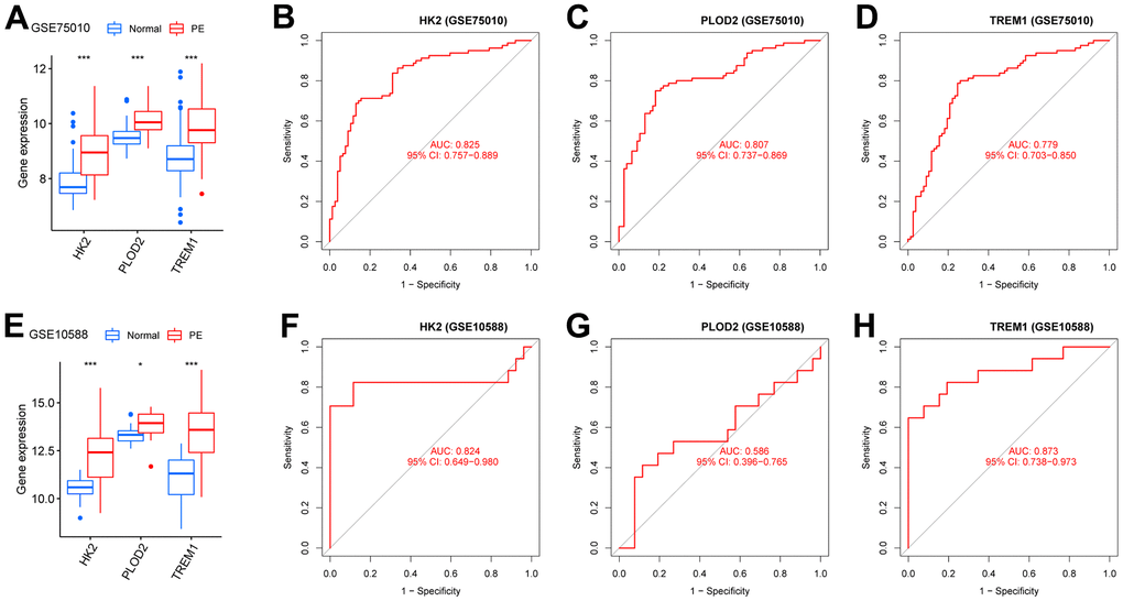 Verification of the PE-related diagnostic biomarkers. (A) The gene expression levels of HK2, PLOD2, and TREM1 in the test cohort (GSE75010). (B–D) ROC curves for evaluating the diagnostic ability of HK2, PLOD2, and TREM1 in the test cohort (GSE75010). (E) The gene expression levels of HK2, PLOD2, and TREM1 in the validation cohort (GSE10588). (F–H) ROC curves for evaluating the diagnostic ability of HK2, PLOD2, and TREM1 in the validation cohort (GSE10588). ROC, receiver operating characteristic curve.