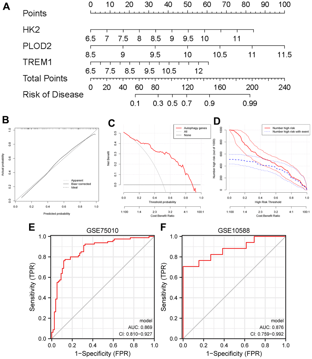 Establishment of a nomogram model for PE diagnosis based on the test cohort (GSE75010). (A) Nomogram to predict the occurrence of PE. (B) Calibration curve for the predictive power of the nomogram model. (C) DCA for the nomogram model. (D) Clinical impact curve to assess the nomogram model. (E, F) ROC curve to assess the model’s ability to diagnose PE in the test cohort (GSE75010) and the validation cohort (GSE10588). PE, preeclampsia. DCA, decision curve analysis. ROC, receiver operating characteristic curve.