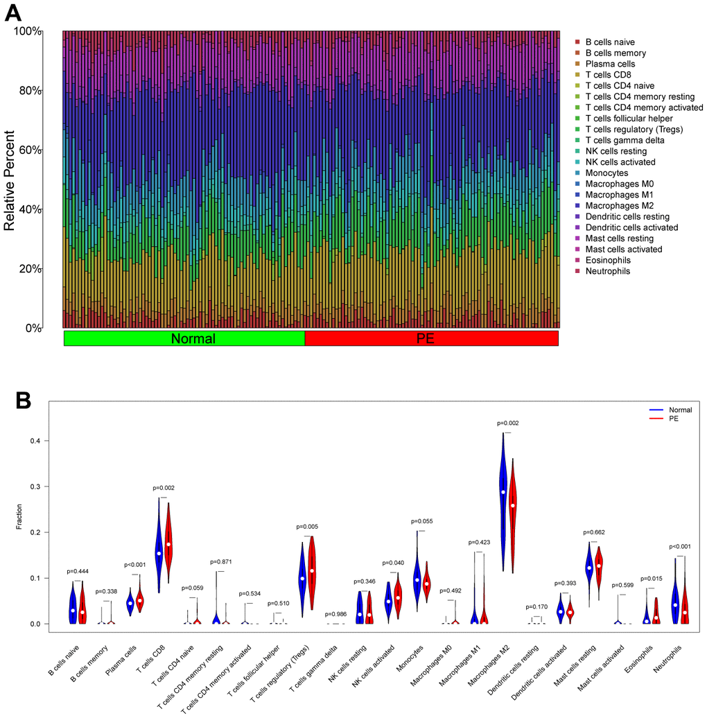 Placenta autophagy is closely associated with preeclampsia | Aging