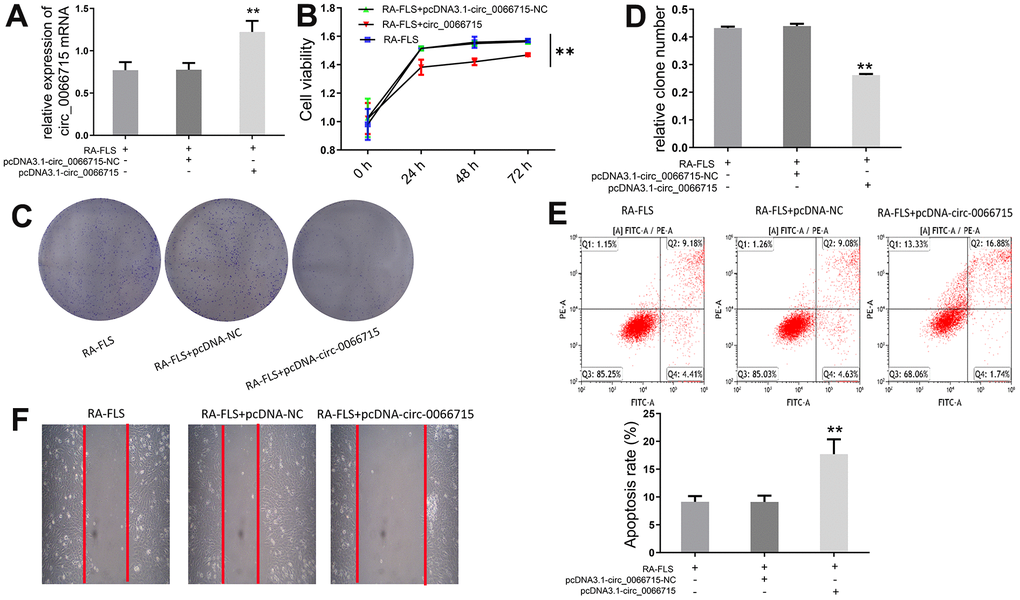 Effect of circ