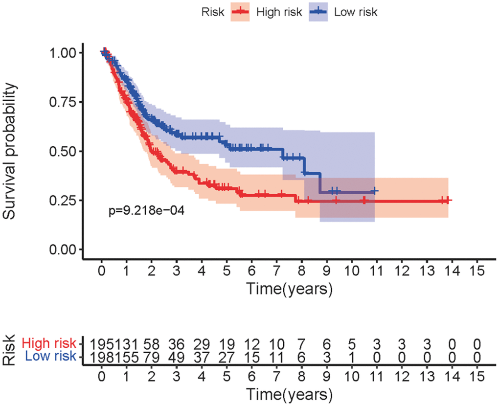 Survival curve of SRRSM. Kaplan-Meier survival curve of the high-risk group and the low-risk group in the SRRSM.