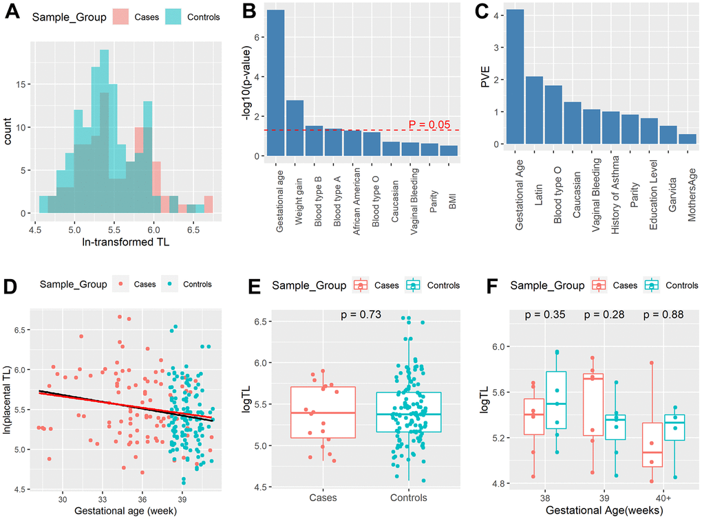 The lack of association between severe preeclampsia (PE) and telomere length (TL) after stratifying by gestational age. (A) Distribution of ln-transformed relative placental TL in the third trimester. Red color: severe PE samples; Blue color: control samples. (B) Severe PE is highly confounded by clinical variables. Top 10 most relevant phenotypic variables of severe PE, calculated using logistic regression. (C) Top 10 variables with the highest proportion of variance explained (PVE), per ANOVA analysis. (D) Scatter plot of TL by delivery gestational age, with red dots representing severe PE cases and blue dots representing controls. The black line represents linear regression of TL on gestational age using all samples; the red line shows the linear regression of TL on gestational age using only severe PE cases. (E) Boxplots of placenta TL of term severe PE samples (n=18) and term controls (n=133). (F) Boxplots of placenta TL of term severe PE samples (n=18) and the subset of matched term controls (n=18) stratified by gestational age (38, 39, 40+ weeks).