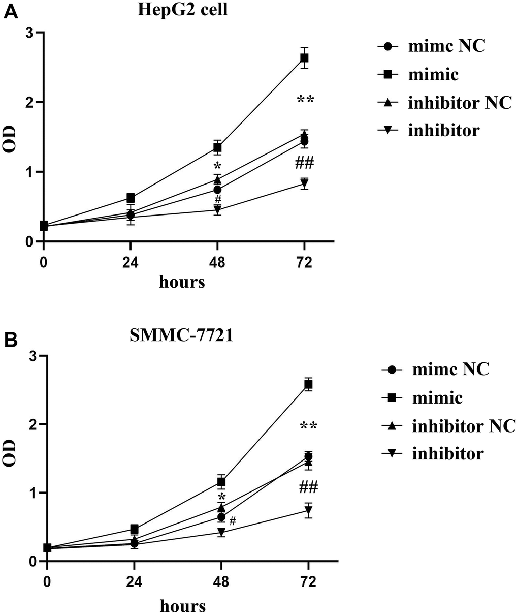 The roles of SALL4 on the proliferation of hepatoma tested by CCK8 assay. SALL4 mimic increased the OD value in both HepG2 (A) and SMMC-7721 cells (B); and SALL4 inhibited the OD value in both HepG2 (A) and SMMC-7721 cells (B) n = 3/group, t test between two groups, and by one-way analysis of variance among groups. *p **p #p ##p 