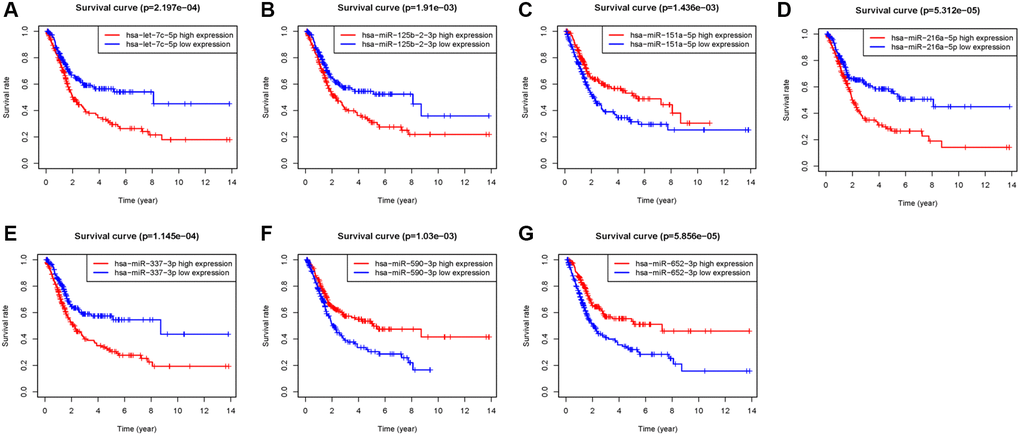 Kaplan–Meier survival analysis of 7 prognostic-related miRNAs. (A) let-7c-5p, (B) miR-125b-2-3p, (C) miR-151a-5p, (D) miR-216a-5p, (E) miR-337-3p, (F) miR-590-3p, (G) miR-652-3p.