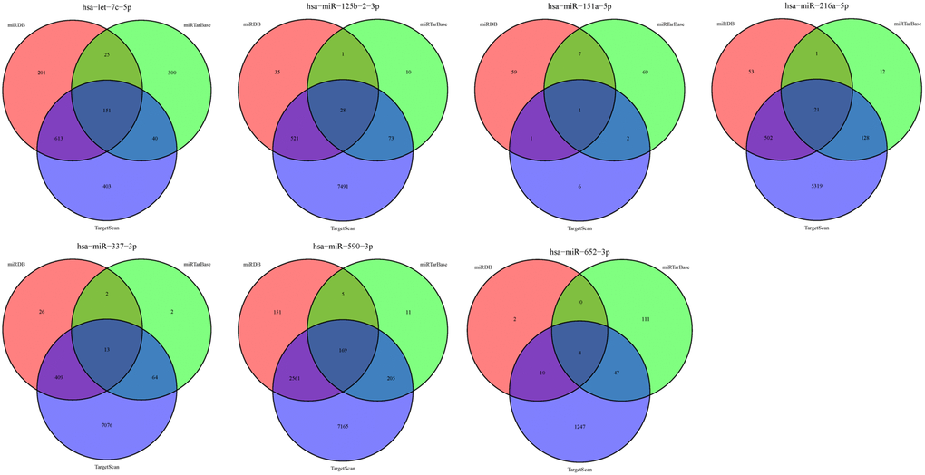 Target genes of the 7 miRNAs.