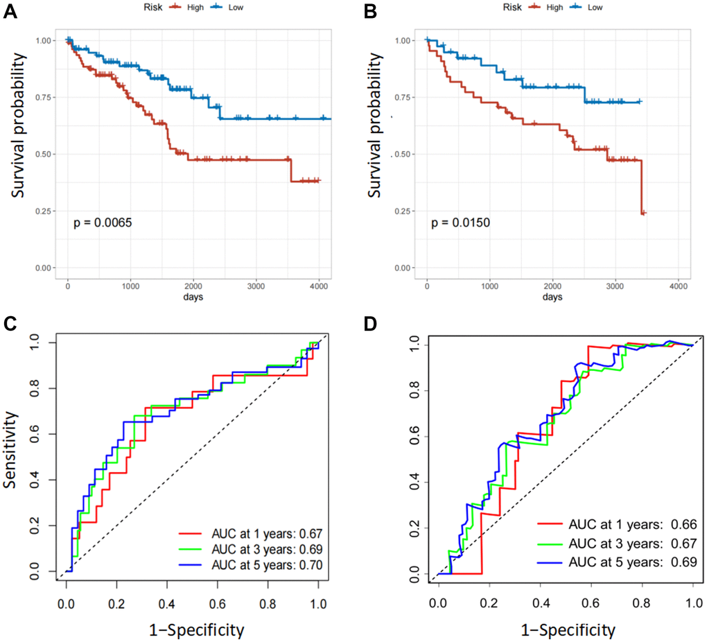 Validation of the six FOX family genes prognosis model. (A, B) Survival analysis with Kaplan-Meier in the internal and external testing cohorts. (C, D) AUC values of model at 1, 3, and 5 year OS in the internal and external testing cohorts.