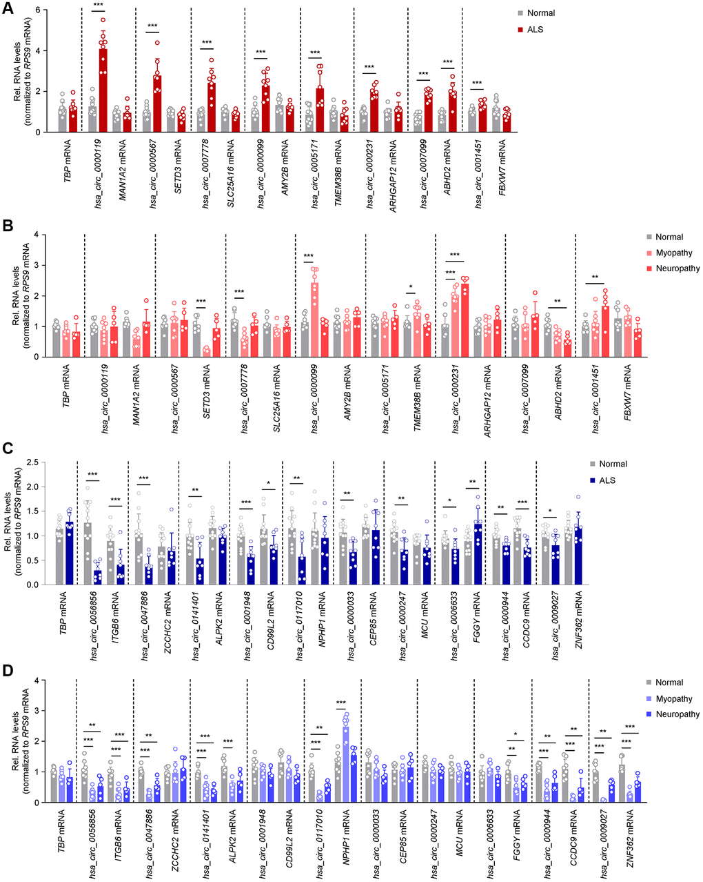 Differentially abundant circRNAs in ALS skeletal muscle. (A) Levels of significantly elevated circRNAs and their linear counterparts in normal (n = 12) and ALS (n = 8) muscle biopsies, as assessed by RT-qPCR analysis. (B) Levels of expression of the circRNAs and linear counterparts validated in the ALS cohort (A), as measured in normal (n = 8), myopathy (n = 8), and neuropathy (n = 5) muscle samples by RT-qPCR analysis. (C) Levels of significantly reduced circRNAs and linear counterparts in normal (n = 12) and ALS (n = 8) muscle biopsies, as assessed by RT-qPCR analysis. (D) Levels of expression of the circRNAs and linear counterparts validated in the ALS cohort (C), as measured in normal (n = 8), myopathy (n = 8), and neuropathy (n = 5) samples by RT-qPCR analysis. Data were normalized to RPS9 mRNA levels, whereas TBP mRNA levels were included as controls; p-values *p **p ***p 