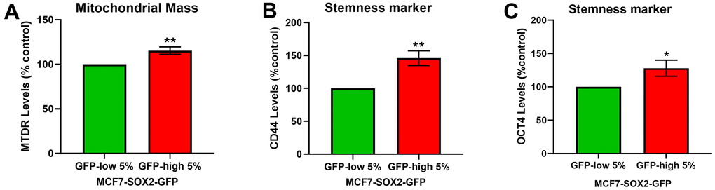 SOX2-high MCF7 cells show a significant increase in mitochondrial mass and in stemness markers. MCF7 cells stably-transduced with the SOX2-GFP reporter construct were subjected to FACS sorting to isolate the 5% highest GFP (GFP-high) and the 5% lowest GFP (GFP-low) subpopulations. (A) Mitochondrial mass was assessed with MitoTracker Deep-Red by flow cytometry. (B) CD44 levels were determined with an APC mouse anti-Human CD44 antibody by flow cytometry. (C) OCT4 levels were evaluated with a OCT4-PE antibody by flow cytometry. Experiments were performed at least 3 times independently. Results are shown as the mean ± SD: t-test, two tailed-test, *p 