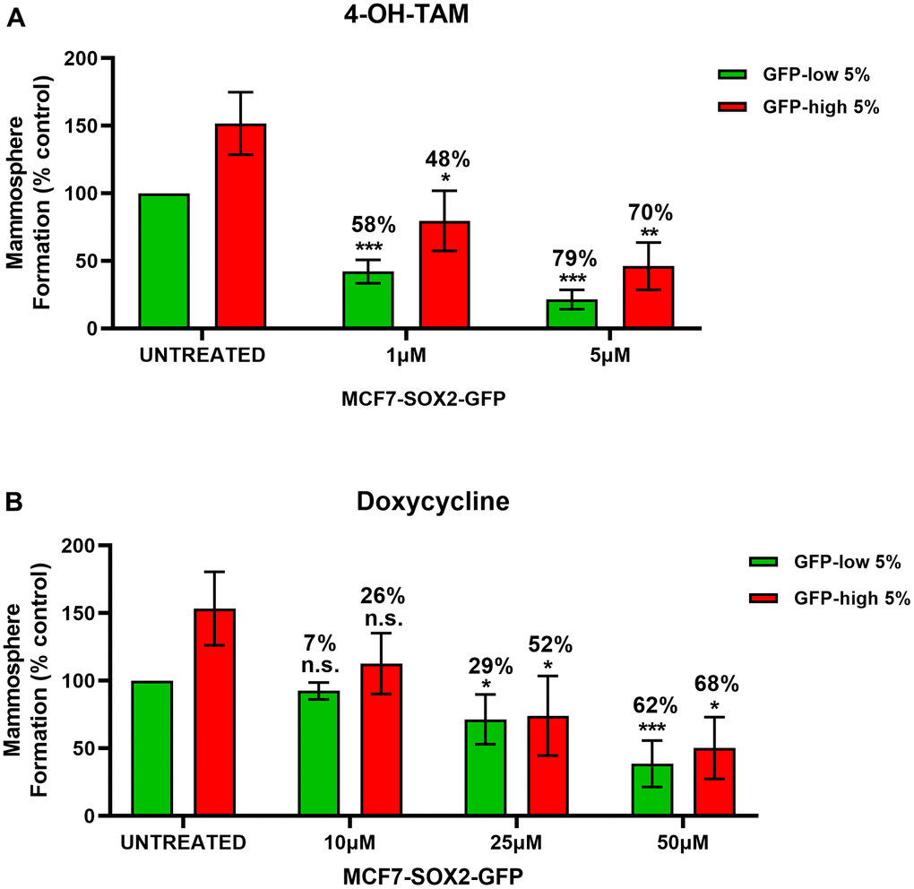 SOX2-high MCF7 show resistance to treatment with 4-OH-Tamoxifen, but show higher sensitivity to Doxycycline. MCF7 cells stably-transduced with the SOX2-GFP construct were subjected to FACS sorting to isolate the 5% highest GFP (GFP-high) and the 5% lowest GFP (GFP-low) subpopulations. Differential sensitivity of GFP-high and GFP-low subpopulations to (A) 4-OH-Tamoxifen and (B) Doxycycline at the indicated concentrations was evaluated by a mammosphere assay. The GFP-high and GFP-low subpopulations were plated in low-attachment plates for mammosphere assays and incubated with 4-OH-Tamoxifen or Doxycycline at the indicated concentrations. The number of mammospheres were analysed after 5 days. The percentage at the top of the bars represent the decrease of that bar compared with its own untreated control (GFP-high treated compare with GPF-high untreated; and GFP-low treated compared with GFP-low untreated). Experiments were performed at least 3 times independently. Results are shown as the mean ± SD: t-test, two tailed-test, *p 