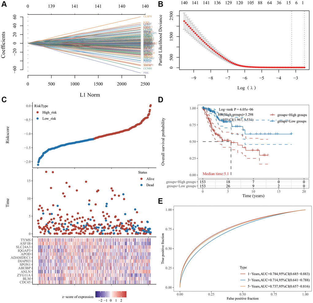 Least absolute shrinkage and selection operator (LASSO) regression analysis of common differentially expressed genes. (A) The LASSO coefficient curve. The abscissa represents the value of the independent variable lambda; the ordinate represents the coefficient of the independent variable. (B) It plots the relationship between partial likelihood deviation and log (λ) using the LASSO-Cox regression model. (C) The risk score, survival time, and survival status of the dataset selected, wherein the top represents the risk score scatter map from low to high, and different colors represent different risk groups; the middle represents the scatter plot distribution of survival time and survival state corresponding to different sample risk score; the bottom diagram represents the expression heat map of genes contained in the signature. (D) The Kaplan−Meier (KM) survival curve distribution of the risk model in the data set, in which different groups were tested using log-rank. High-risk (HR) represents the risk coefficient of the high-risk group relative to the low-risk group. HR >1 represents the risk model; HR E) The receiver operator characteristic (ROC) curve and area under the ROC curve (AUC) of the risk model at different times, in which the higher the AUC value, the stronger the prediction ability of the model. (Riskscore = (−0.0685) × CDC45 + (−0.451) × BLM + (−0.2443) × ZYG11A + (0.465) × ANLN + (−0.1119) × ABI3BP + (0.1099) × SPON1 + (0.3614) × DIAPH3 + (−0.1009) × ADAMDEC1 + (−0.0683) × APOD + (0.3228) × IQGAP3 + (0.1394) × SLC24A3 + (−0.5415) × ASF1B + (−0.0287) × TYMS. The cutoff value of riskcore = −1.137103259).