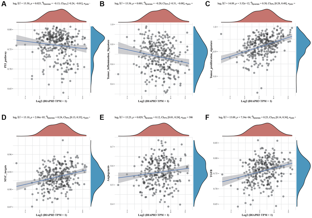 Single-sample Gene Set Enrichment Analysis (ssGSEA) of Diaphanous Related Formin 3 (DIAPH3). (A) The correlation between DIAPH3 expression and the p53 signal pathway. (B) The correlation between DIAPH3 expression and the characteristics of tumor inflammation. (C) The correlation between DIAPH3 expression and tumor proliferation. (D) The correlation between DIAPH3 expression and Myc target genes. (E) The correlation between DIAPH3 expression and angiogenesis. (F) The correlation between DIAPH3 expression and transforming growth factor-beta (TGF-β) signal pathway. The abscissa represents the gene expression; the ordinate represents the pathway score; the density curve on the right represents the distribution trend of the pathway score; the upper-density curve represents the distribution trend of gene expression. The uppermost value (the blue curve in the coordinate axis) represents the p-value, the correlation coefficient, and the correlation calculation method.