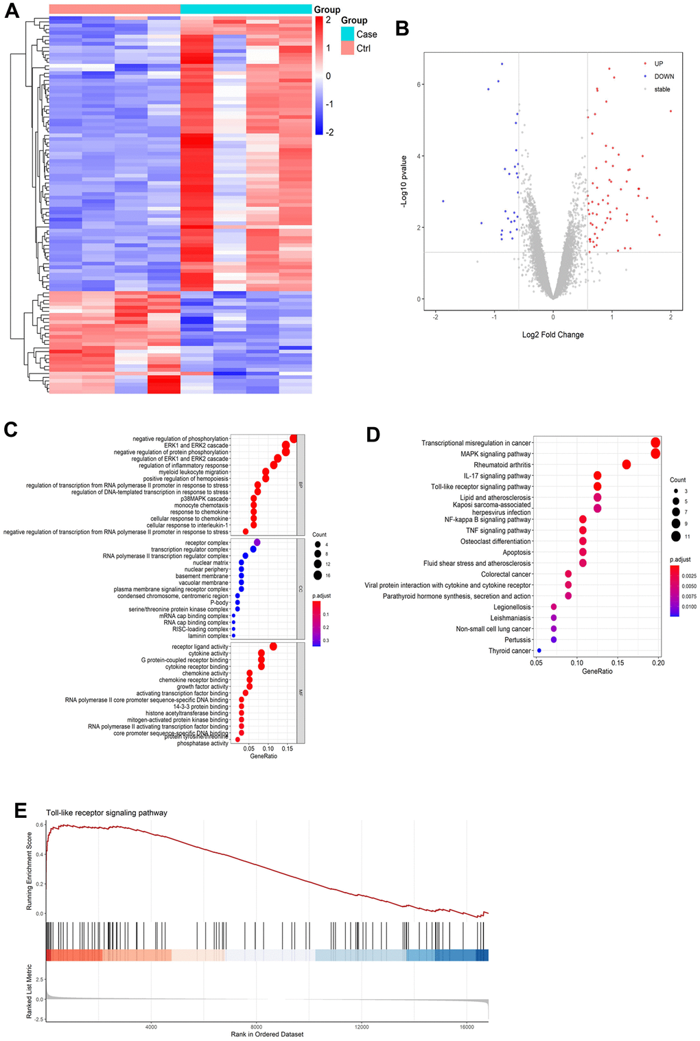 Results of bioinformatics analysis. (A) Differential gene volcano map. (B) Heatmap of differentially expressed gene cluster analysis. (C) GO enrichment analysis pathway diagram. (D) KEGG enrichment analysis pathway diagram. (E) GSEA gene enrichment analysis diagram of Toll-like receptor signaling pathways.