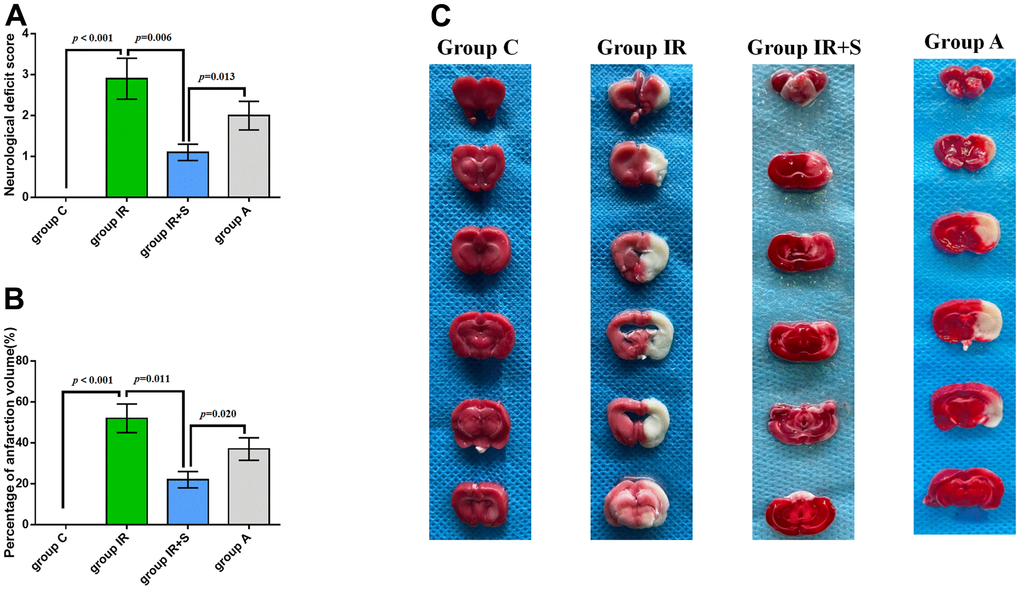 Sevoflurane postconditioning ameliorated neurological scores and infarction volumes after cerebral I/R injury. (A) Neurological deficit score of each group (n = 30 per group). (B) Percentage of infarction volume of each group (n = 5 per group). (C) Representative sections of TTC staining in each group. Data are shown as means ± SD.