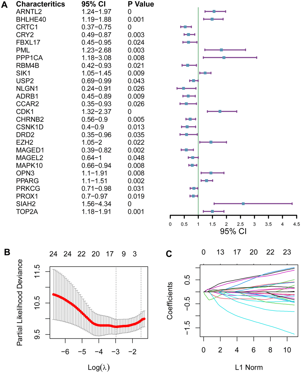 Development of a circadian clock-related prognostic signature. (A) Forest plot for 27 genes with a statistical relevance. (B, C) The 27 qualified genes were subsequently fed into LASSO regression model.