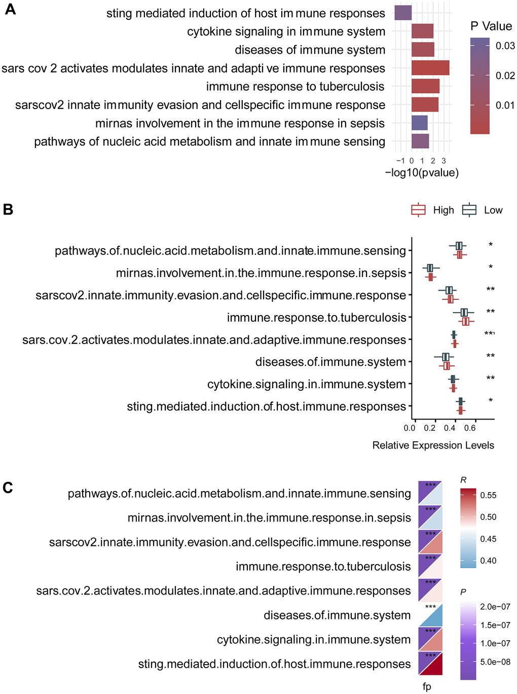 Association of the circadian clock-related gene signature with intra-tumor immune signaling pathways. (A) There were eight differentially expressed signaling pathways. (B) Box plot demonstrated a consistent change in the expression levels of these immune pathways. (C) The risk score was also significantly correlated with these eight immune pathways.