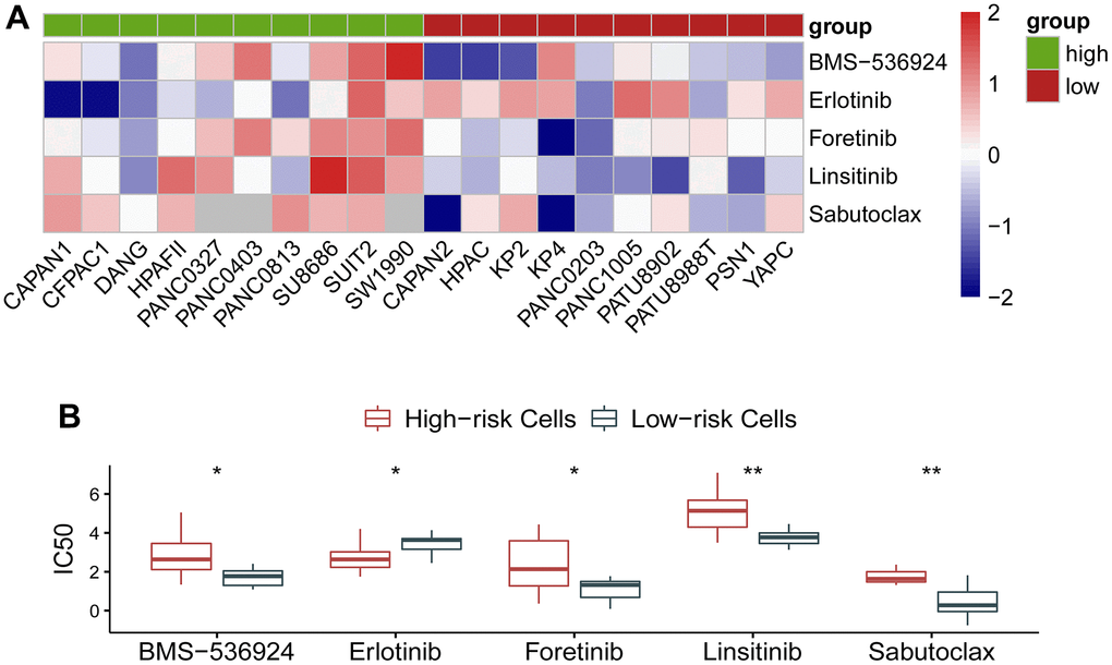 Association of the gene signature with response to molecular targeted therapy in pancreatic ductal adenocarcinoma. (A) IC50 of BMS-536924, Erlotinib, Foretinib, Linsitinib, and Sabutoclax exhibited a distinct effect on the low- and the high-risk cohorts. (B) Quantitative analysis showed that BMS-536924, Foretinib, Linsitinib, and Sabutoclax were more sensitive in the low-risk cancer cells, whereas Erlotinib was more effective in the high-risk cancer cells.