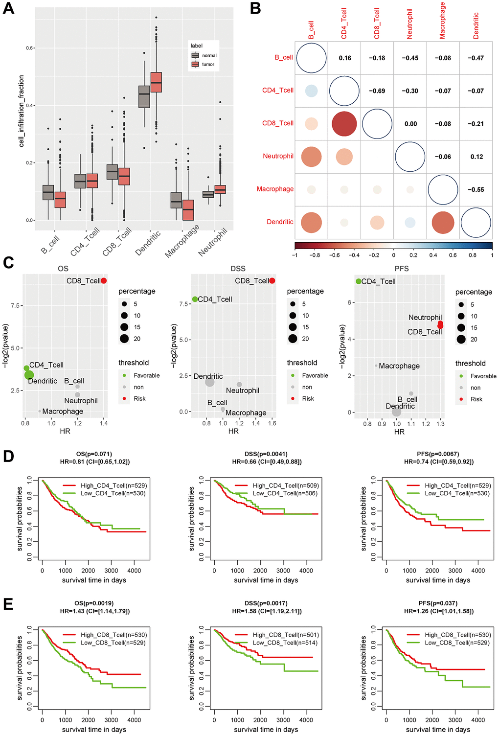 The immune landscape in GIAC tumors. (A) The cell infiltration level of six main immune cell types in GIAC tumor and adjacent normal samples. (B) The cell infiltration correlation of six immune cell types. (C) The P-value and HR of cell infiltration level of six immune cell types in survival analysis. (D) The KM plot of CD8 T cell infiltration in GIAC patients for OS, DSS and PFS. (E) The KM plot of CD4 T cell infiltration in GIAC patients for OS, DSS and PFS.