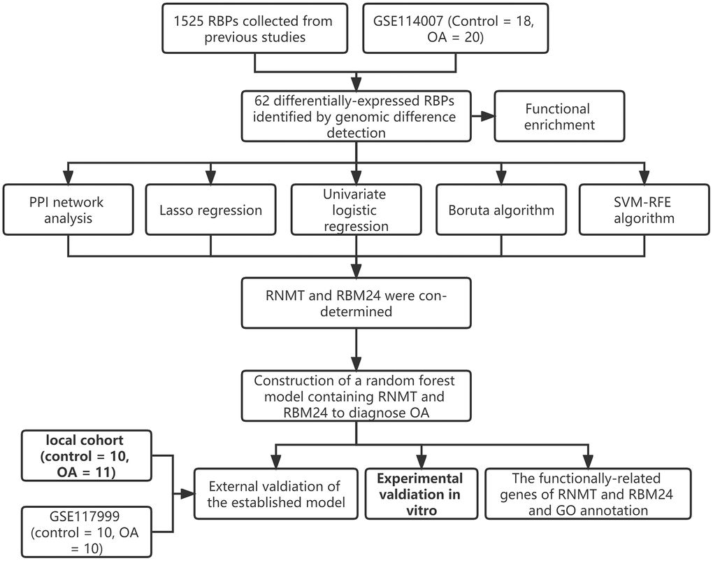 The workflow of the present study.