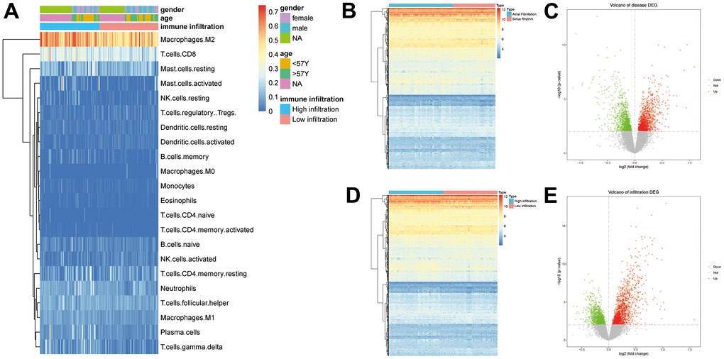 (A) Results of the immune infiltration analysis (p>0.05, *: pB) Volcano plot of DEGs in AF and SR. (C) Heat map for the expression of the 2379 DEGs in AF. (D) Volcano plot of DEGs in immune infiltration. (E) Heat map for the expression of the 2607 DEGs in immune infiltration.