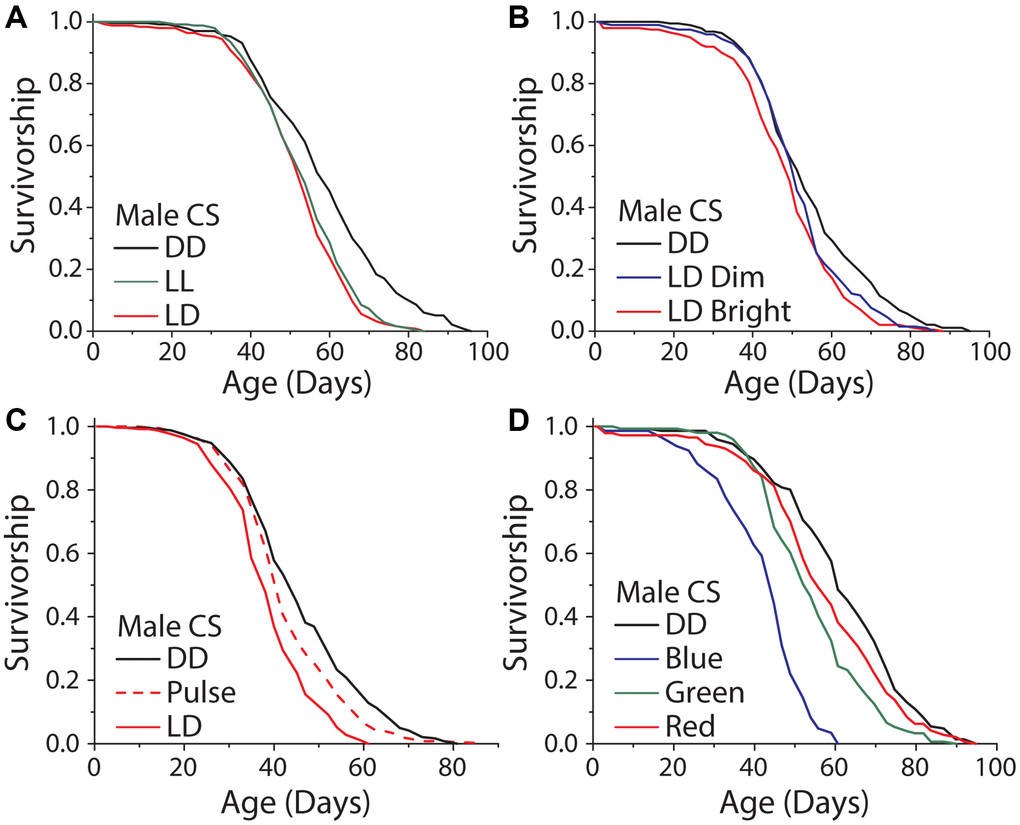 Light induced damage alone does not account for the dark lifespan extension. (A) Male flies exposed to either 12 hours of light daily or constant light (LL) were significantly shorter lived than those aged under DD (LD n = 251, LL n = 247, DD n = 234; P P = 0.0304). (B) Similarly, there was a significant lifespan shortening effect when flies were aged under 300 and 1050 lux and compared to DD aged flies (300 lux n = 198, 1050 lux n = 200, DD n = 192; P = 0.0003). When making pairwise comparisons to DD there was a significant effect of both 1050 lux (P P = 0.018), however there was no significant difference between the 300 and 1050 lux treatments (P = 0.085). (C) When exposed to either LD or two, one-hour light pulses a day there was a significant light effect (LD n = 251, light pulse n = 240, DD n = 249; P P P D) When flies were aged under monochromatic light, there was a significant effect of wavelength on lifespan (blue n = 145, green n = 151, red n = 145, DD n = 146; P P P P = 0.048).