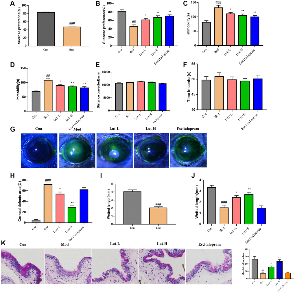 Luteolin improved depressive behavior and dry eye symptoms in DEDC mice. (A, B) SPT, (C) TST, (D) FST, and (E, F) OFT. (G) Corneal epithelial defect fluorescence representative images of pyruvate sodium staining (H) Quantitative determination of corneal defects in mice (I, J) Phenol red line assay showing tear volume (K) The effect of luteolin on goblet cells in xerophthalmia and CUMS mice. Scale bar is 50 μm. Data analysis was performed with Mean ± SEM. #p ##p *p **p n = 9.