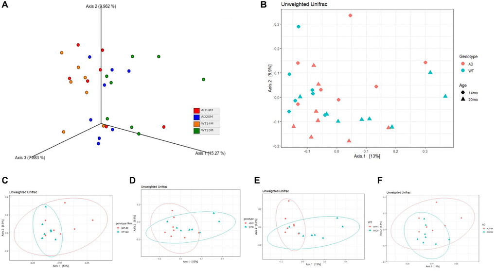 Changes in community structure. (A) Principal coordinate analysis plot of Unweighted Unifrac distance in a 3 dimensional view and (B) 2 dimensional view. PCoA plots stratified to show (C, D) genotypic changes at 14 and 20 months of age; and (E, F) aging changes.