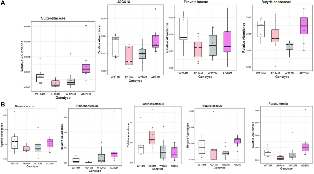 Differentially represented taxa in the Tgf344-AD rats. Differentially abundant taxa between the Tgf344-AD and WT rats at the (A) Family and (B) Genus levels identified using LefSe.