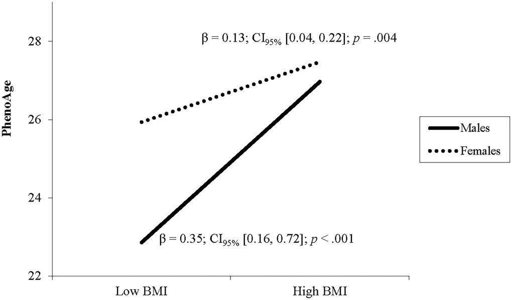 The relationship between BMI and PhenoAge varies by sex. Note: Low and high BMI were defined as 1 SD below and above the mean.