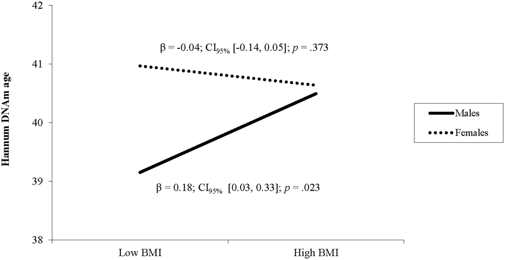 The relationship between BMI and Hannum DNAm varies by sex. Note: Low and high BMI were defined as 1 SD below and above the mean.