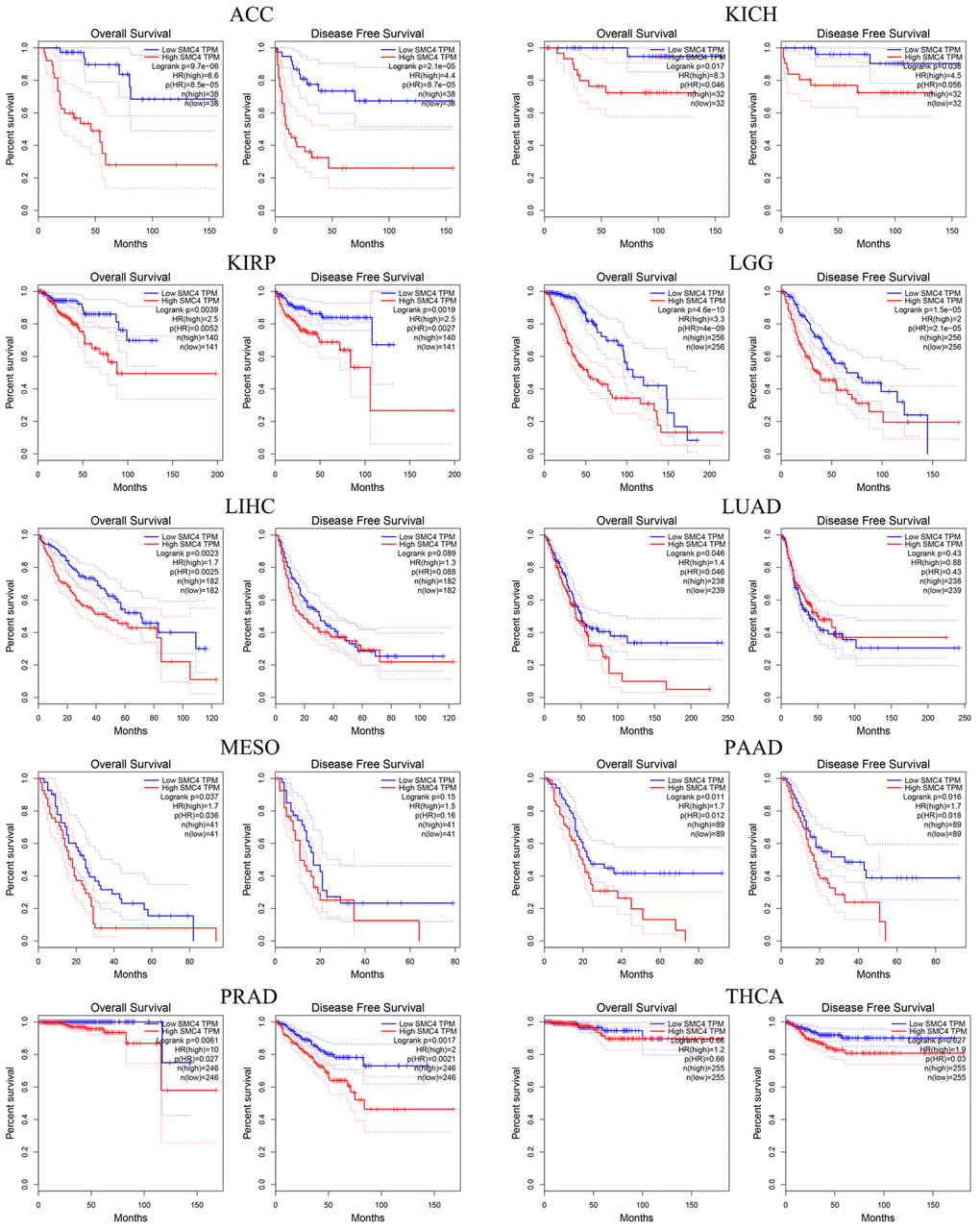 Prognostic significance of SMC4 in different types of human cancers using GEPIA database.
