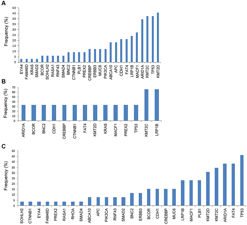 The frequency of genetic mutations according to the metastatic patterns. (A) Peritoneal metastasis, (B) hematogenous metastasis, and (C) distant lymphatic metastasis.