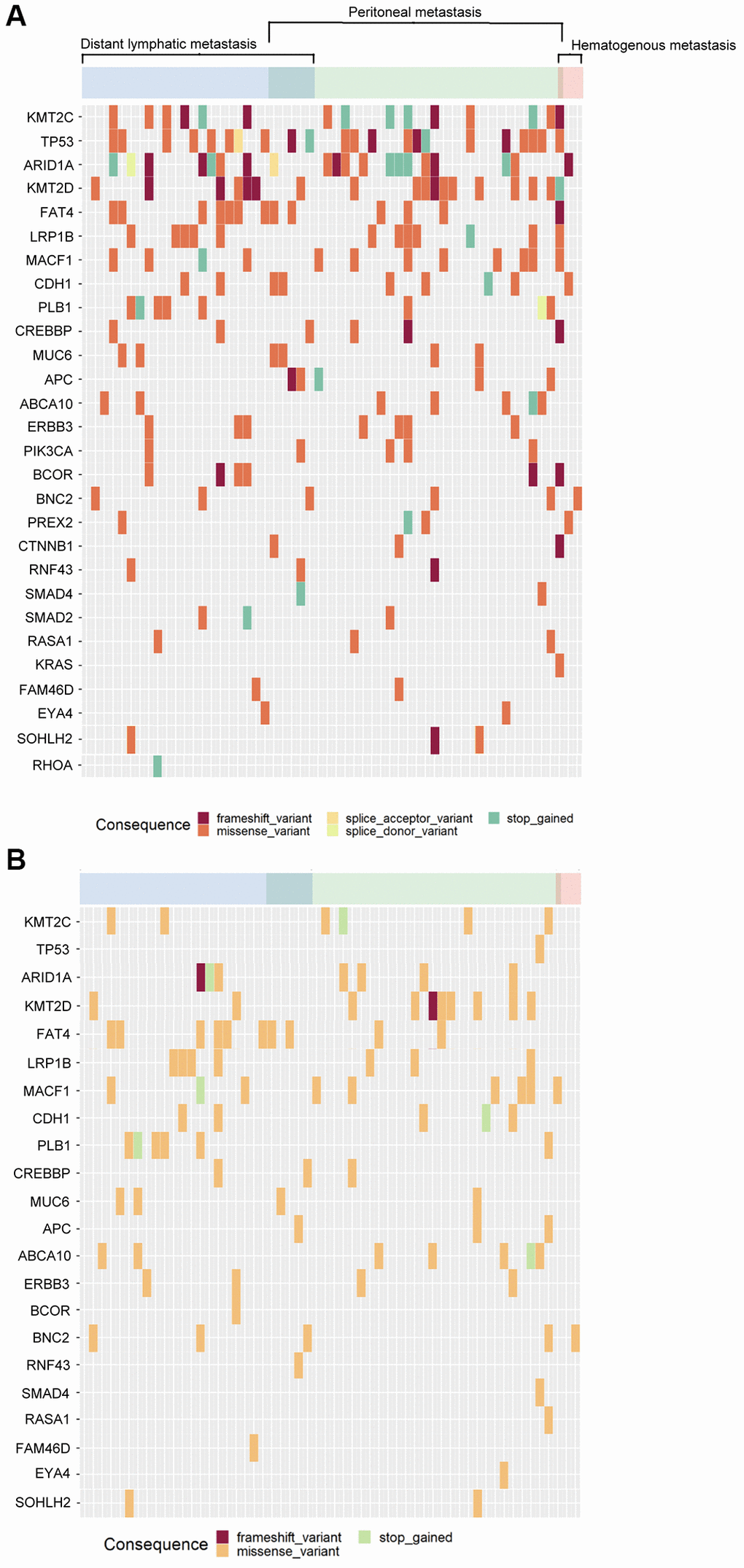 The mutational patterns of the tumor tissue and cfDNA. (A) Tumor tissue, (B) cfDNA.