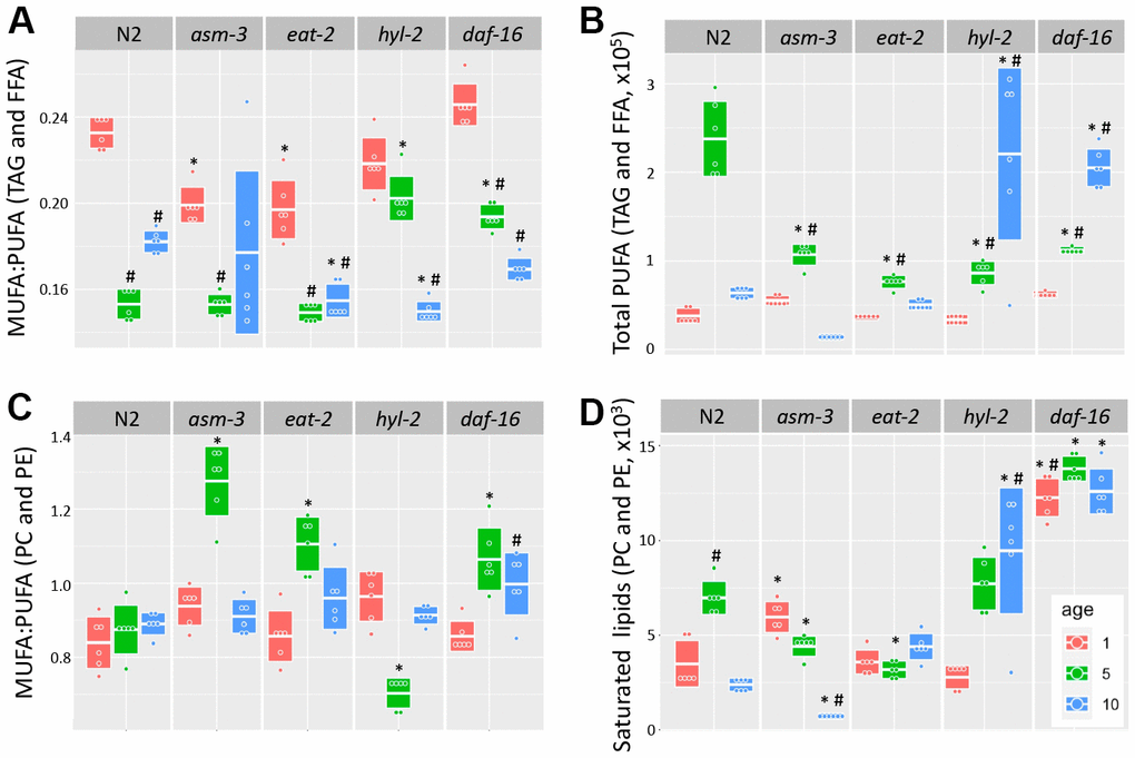 Analysis of acyl chain saturation during young and old asm-3 and hyl-2 mutants. Chain saturation was analyzed and compared between 1-day (red), 5-day (green), and 10-day (blue) old N2, asm-3, eat-2, hyl-2, and daf-16 animals. Total (A) MUFA:PUFA ratios in TAG and FFA, (B) total polyunsaturated chains in in TAG and FFA, (C) MUFA:PUFA ratios in PC and PE, and (D) saturated PC and PE were summed for each group (n=6). Boxes in graphs represent the middle quartile for the data points in each group. For all, # indicates pp