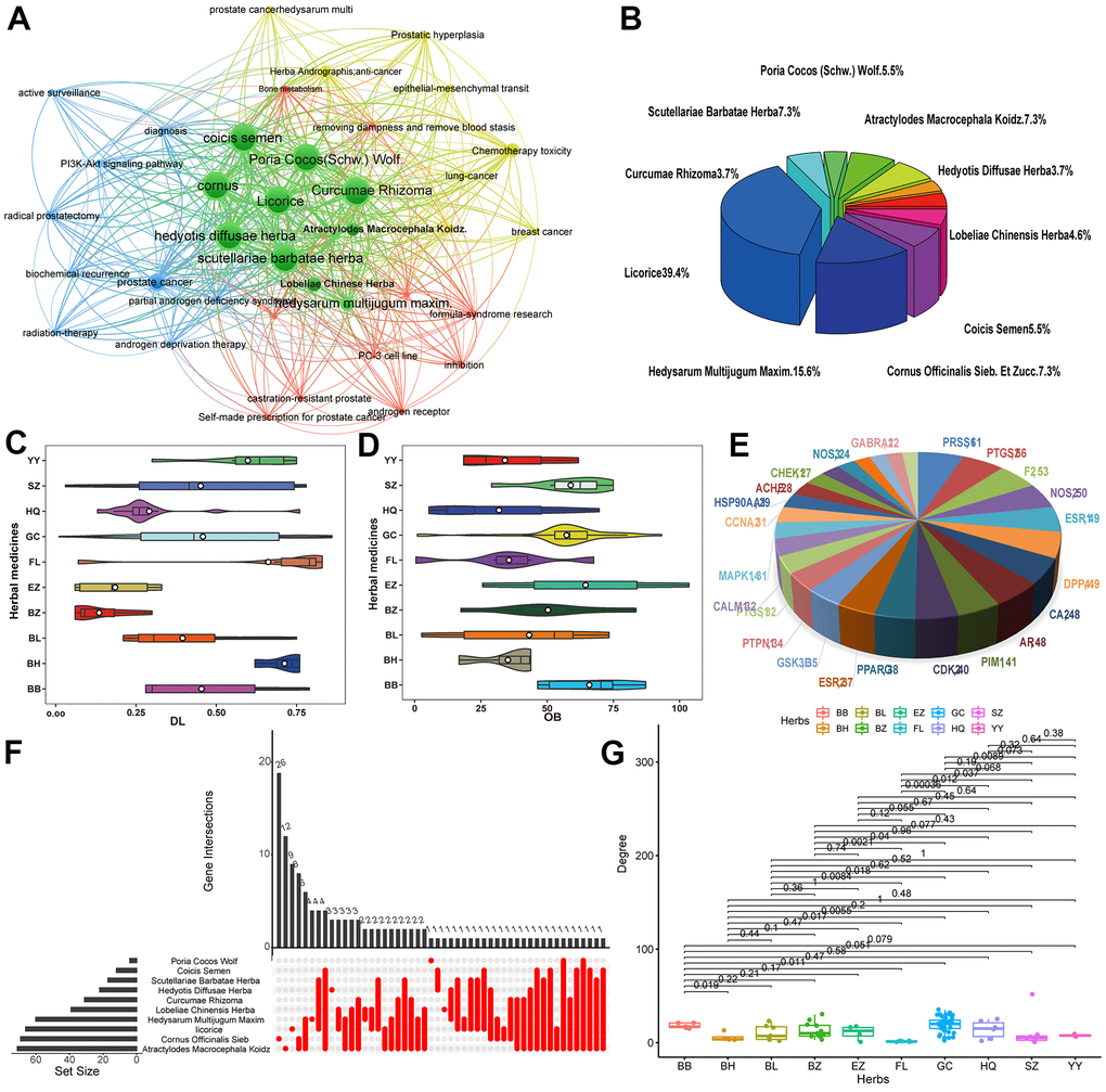 (A) Network map showing keywords in PCa-related literature. (B) Pie chart of the proportion of TCM targets in the treatment of PCa. (C, D) Violin diagram of OB and DL content. (E) Key target gene in herbs. (F) Correlation map of herbs target genes. (G) Degree value of target genes in the treatment of prostate cancer with TCM.