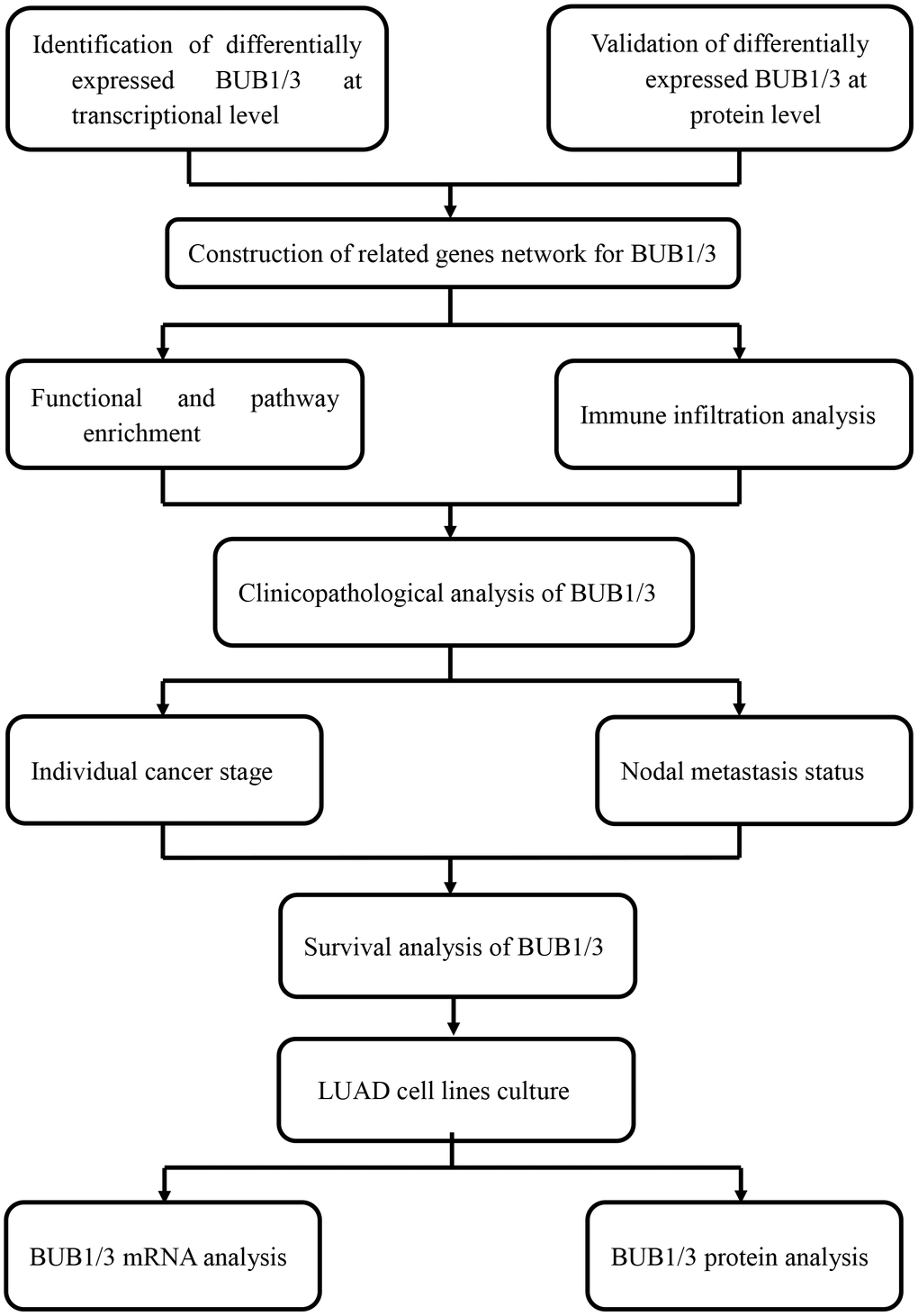 Flow chart presenting the analytical process.