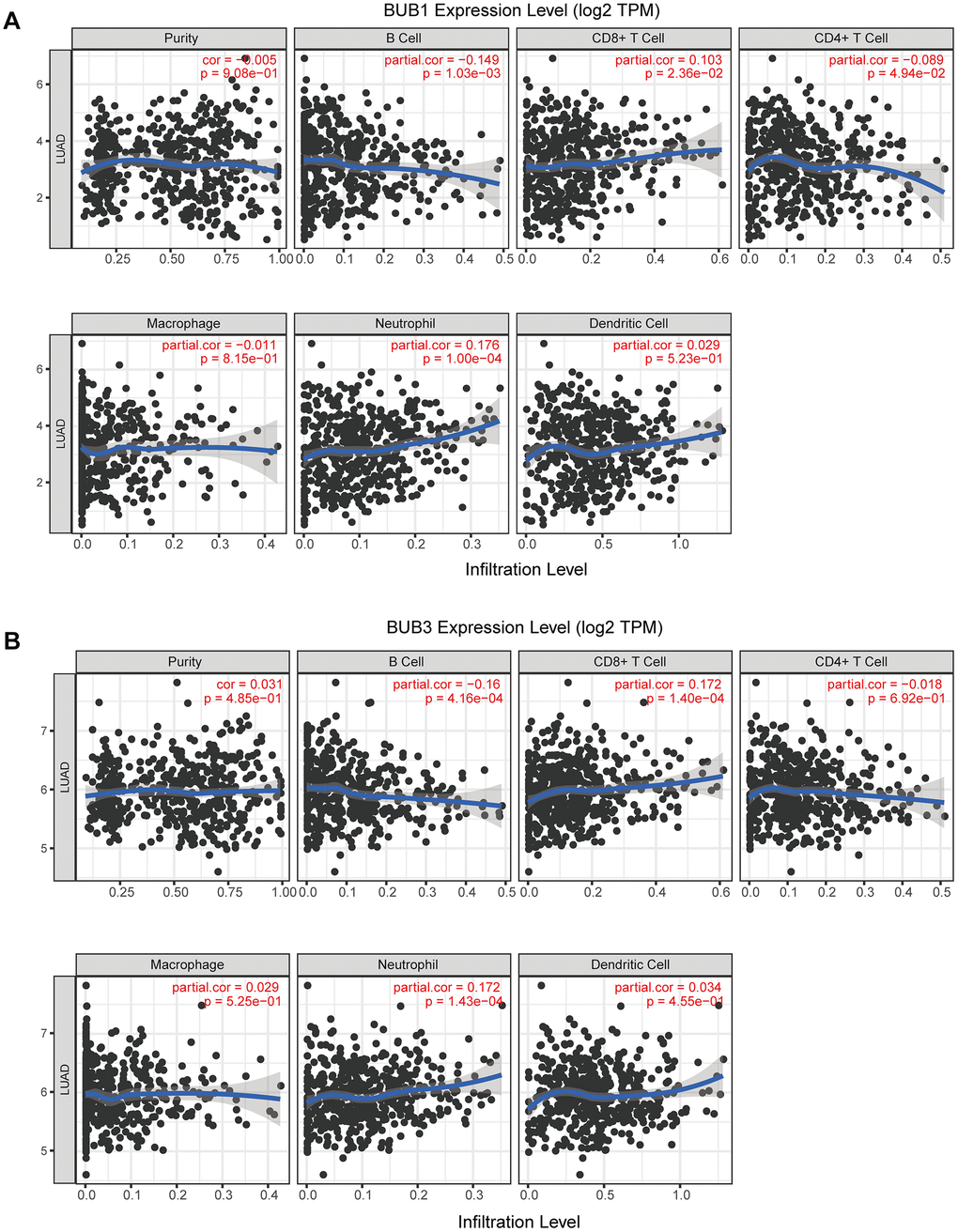Correlation analysis of BUB1/3 and extent of immune cell infiltration. (A, B) Correlation analysis for BUB1 (A) and BUB3 (B), taking into account tumor purity, B cells, CD8+ T cells, CD4+ T cells, macrophages, neutrophils, and dendritic cells.