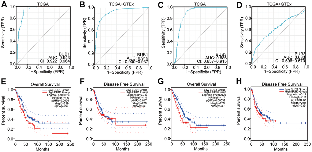 ROC analysis and prognostic effect of BUB1/3 for LUAD. (A, B) The diagnostic efficacy of BUB1 for LUAD using the TCGA database and the TCGA database combined with the GTEx database. (C, D) The diagnostic efficacy of BUB3 for LUAD both the TCGA database and the TCGA combined with the GTEX database. (E, F) Relationship between BUB1 expression level and overall survival (A) and disease-free survival (B) in patients with LUAD (G, H) Relationship between BUB3 expression level and overall survival (C) and disease-free survival (D) in patients with LUAD.