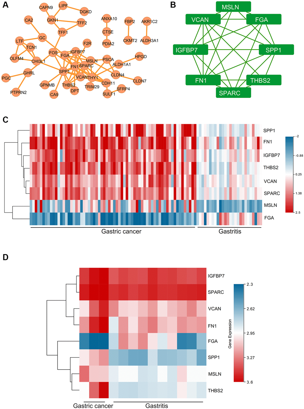 The PPI network and hub genes, expression analysis for the hub genes. (A) PPI network. (B) The key module of MCODE analysis. (C) The heat map showed the expressions of the hub genes in GSE2669. (D) The heat map showed the expressions of the hub genes in GSE116312.