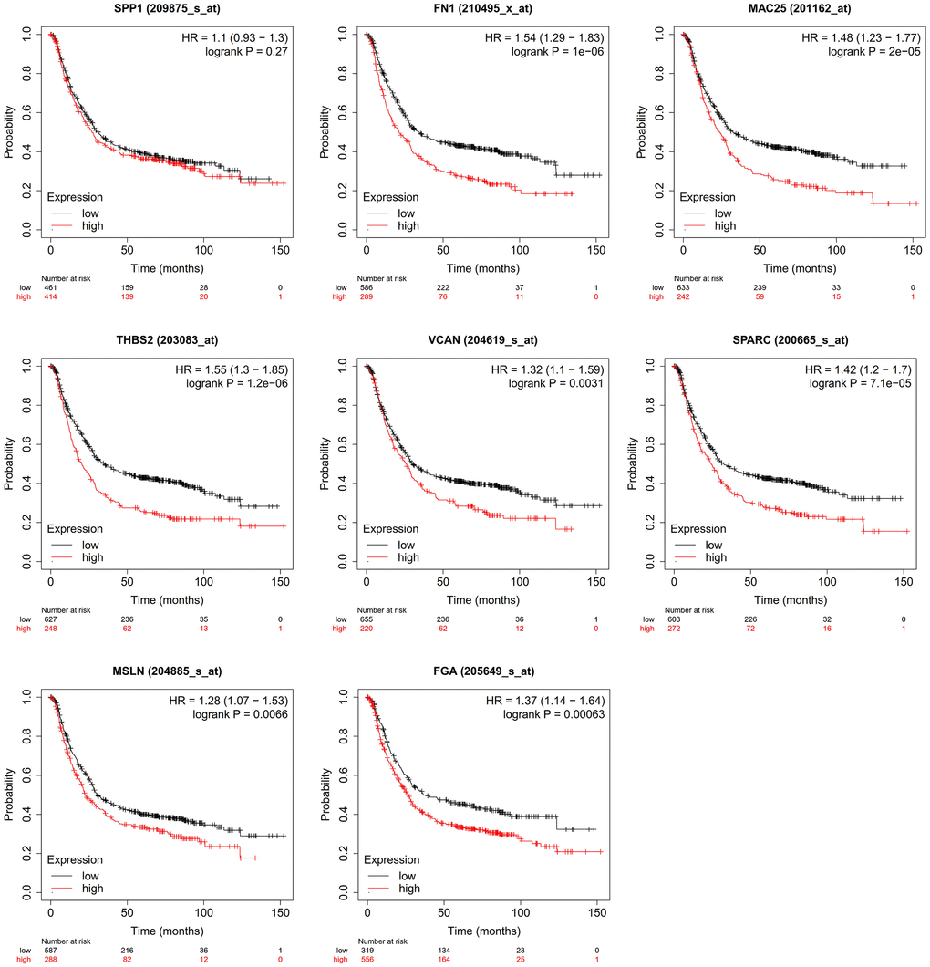 Effect of hub genes on the overall survival of gastric cancer.